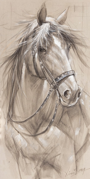 PXYW598 Wall décor art oil on canvas livestock horse brown white tones
